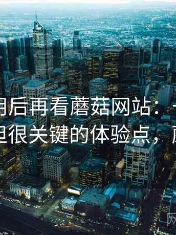 反复使用后再看蘑菇网站：一些容易被忽视但很关键的体验点，蘑菇网片