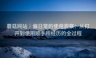 蘑菇网站｜偏日常的使用观察：从打开到使用顺手所经历的全过程