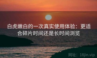 白虎嫩白的一次真实使用体验：更适合碎片时间还是长时间浏览