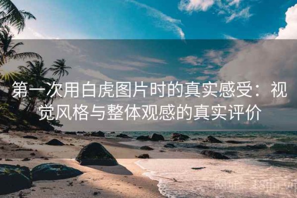 第一次用白虎图片时的真实感受：视觉风格与整体观感的真实评价