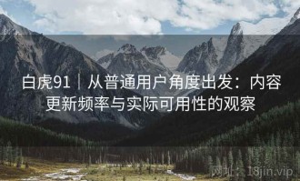白虎91｜从普通用户角度出发：内容更新频率与实际可用性的观察