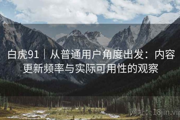 白虎91｜从普通用户角度出发：内容更新频率与实际可用性的观察