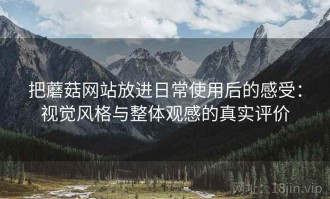 把蘑菇网站放进日常使用后的感受：视觉风格与整体观感的真实评价