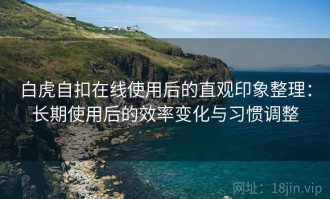 白虎自扣在线使用后的直观印象整理：长期使用后的效率变化与习惯调整