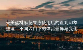 天美蜜桃麻花果冻使用后的直观印象整理：不同入口下的体验差异与变化