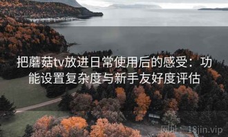 把蘑菇tv放进日常使用后的感受：功能设置复杂度与新手友好度评估