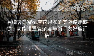 围绕天美蜜桃麻花果冻的实际使用感想：功能设置复杂度与新手友好度评估