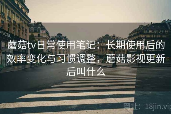 蘑菇tv日常使用笔记：长期使用后的效率变化与习惯调整，蘑菇影视更新后叫什么