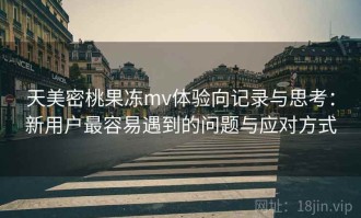 天美密桃果冻mv体验向记录与思考：新用户最容易遇到的问题与应对方式
