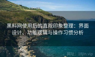 黑料网使用后的直观印象整理：界面设计、功能逻辑与操作习惯分析