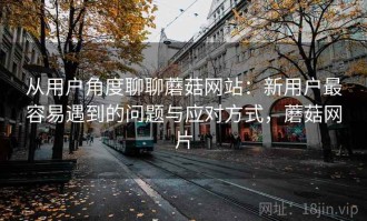 从用户角度聊聊蘑菇网站：新用户最容易遇到的问题与应对方式，蘑菇网片