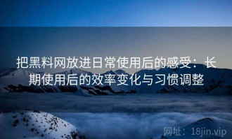 把黑料网放进日常使用后的感受：长期使用后的效率变化与习惯调整