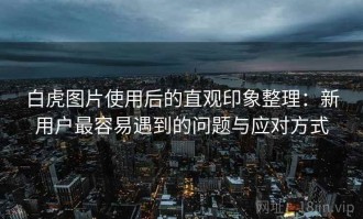 白虎图片使用后的直观印象整理：新用户最容易遇到的问题与应对方式