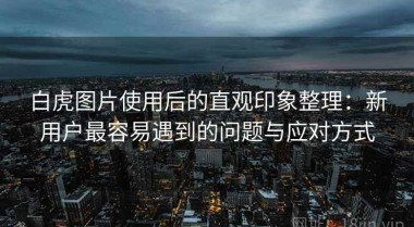 白虎图片使用后的直观印象整理：新用户最容易遇到的问题与应对方式