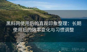 黑料网使用后的直观印象整理：长期使用后的效率变化与习惯调整