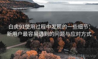 白虎91使用过程中发现的一些细节：新用户最容易遇到的问题与应对方式