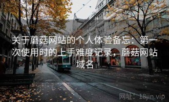 关于蘑菇网站的个人体验备忘：第一次使用时的上手难度记录，蘑菇网站域名