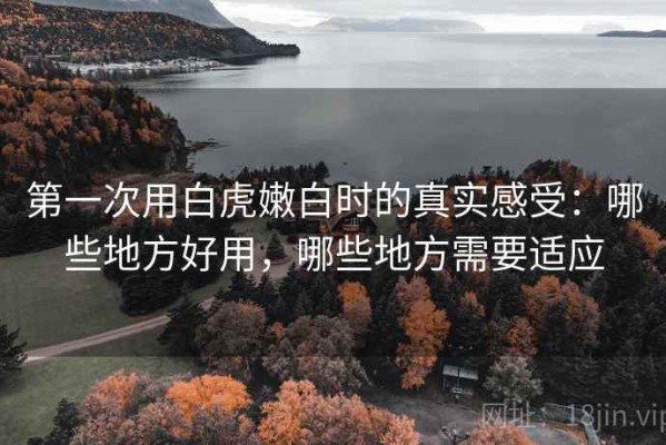 第一次用白虎嫩白时的真实感受：哪些地方好用，哪些地方需要适应