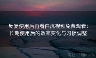 反复使用后再看白虎视频免费观看：长期使用后的效率变化与习惯调整