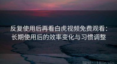 反复使用后再看白虎视频免费观看：长期使用后的效率变化与习惯调整