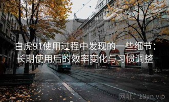 白虎91使用过程中发现的一些细节：长期使用后的效率变化与习惯调整