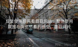 反复使用后再看蘑菇网站：整体使用氛围与浏览节奏的感受，蘑菇网片
