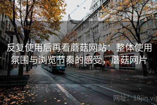 反复使用后再看蘑菇网站：整体使用氛围与浏览节奏的感受，蘑菇网片