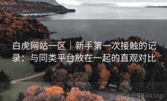 白虎网站一区｜新手第一次接触的记录：与同类平台放在一起的直观对比