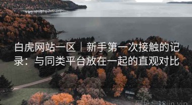 白虎网站一区｜新手第一次接触的记录：与同类平台放在一起的直观对比
