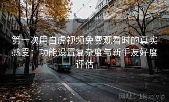 第一次用白虎视频免费观看时的真实感受：功能设置复杂度与新手友好度评估