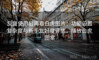 反复使用后再看白虎图片：功能设置复杂度与新手友好度评估，播放白虎图案