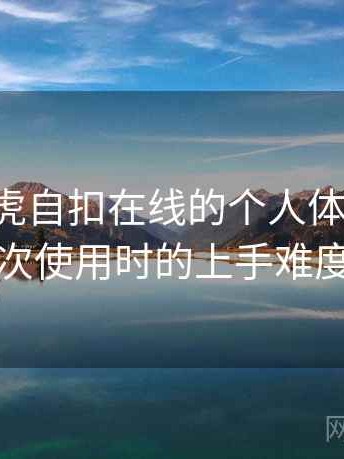 关于白虎自扣在线的个人体验备忘：第一次使用时的上手难度记录