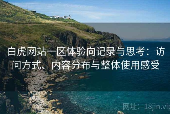 白虎网站一区体验向记录与思考：访问方式、内容分布与整体使用感受