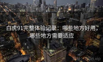 白虎91完整体验记录：哪些地方好用，哪些地方需要适应