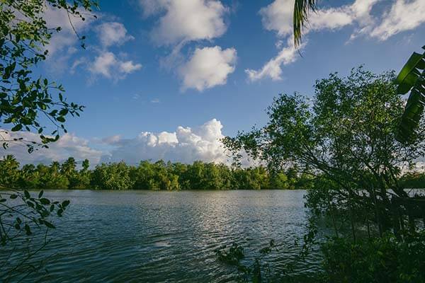 天美影院日常使用笔记：稳定访问与日常使用的可靠性评估，天美影城今日影讯