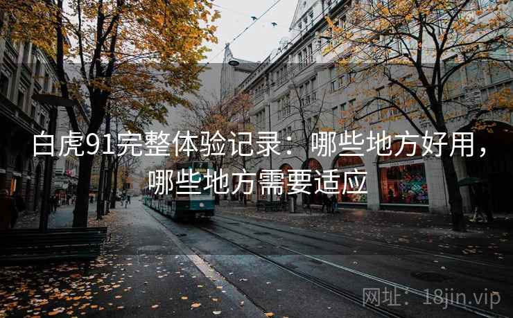 白虎91完整体验记录：哪些地方好用，哪些地方需要适应