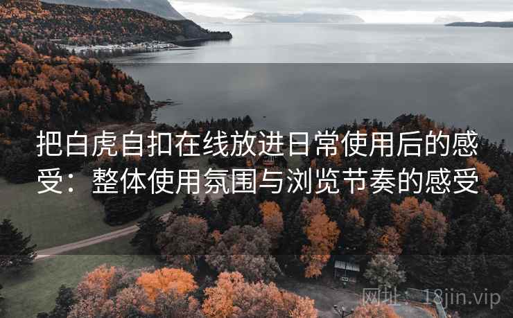 把白虎自扣在线放进日常使用后的感受:整体使用氛围与浏览节奏的感受 把白虎自扣在线放进日常使用后的感受:整体使用氛围与浏览节奏的感受