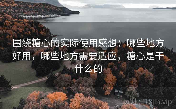 围绕糖心的实际使用感想：哪些地方好用，哪些地方需要适应，糖心是干什么的