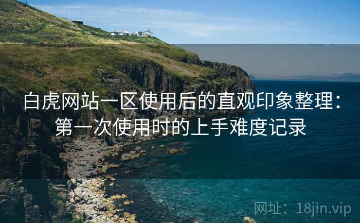 白虎网站一区使用后的直观印象整理：第一次使用时的上手难度记录
