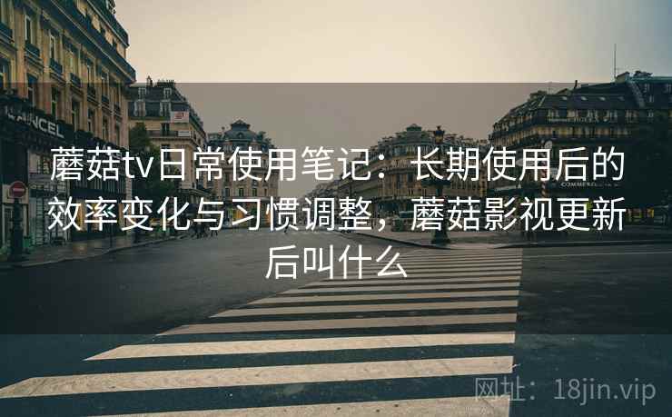 蘑菇tv日常使用笔记：长期使用后的效率变化与习惯调整，蘑菇影视更新后叫什么