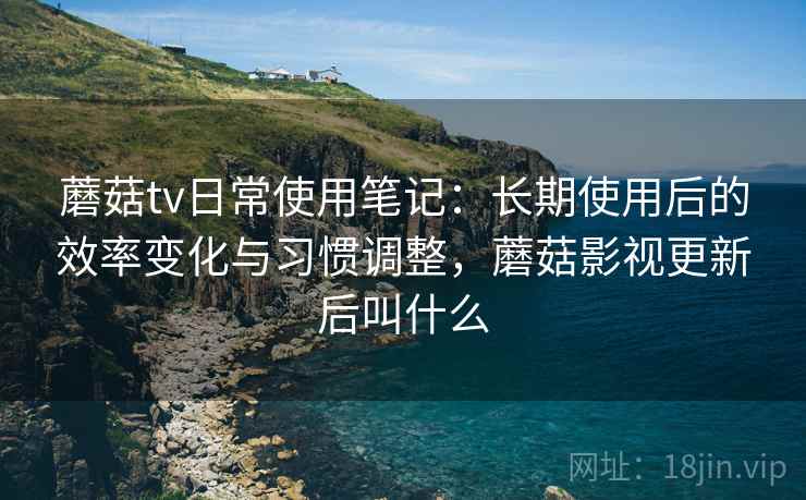 蘑菇tv日常使用笔记：长期使用后的效率变化与习惯调整，蘑菇影视更新后叫什么