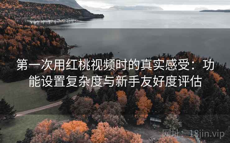 第一次用红桃视频时的真实感受:功能设置复杂度与新手友好度评估 第一次用红桃视频时的真实感受:功能设置复杂度与新手友好度评估