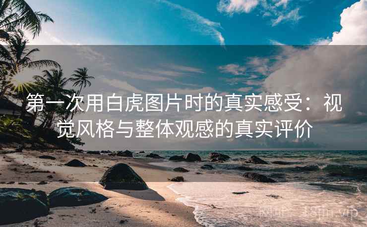 第一次用白虎图片时的真实感受：视觉风格与整体观感的真实评价