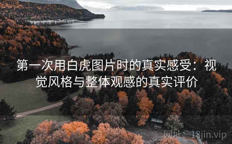 第一次用白虎图片时的真实感受：视觉风格与整体观感的真实评价