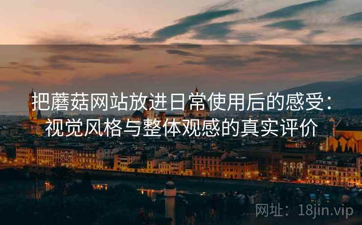 把蘑菇网站放进日常使用后的感受：视觉风格与整体观感的真实评价