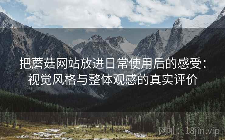 把蘑菇网站放进日常使用后的感受：视觉风格与整体观感的真实评价