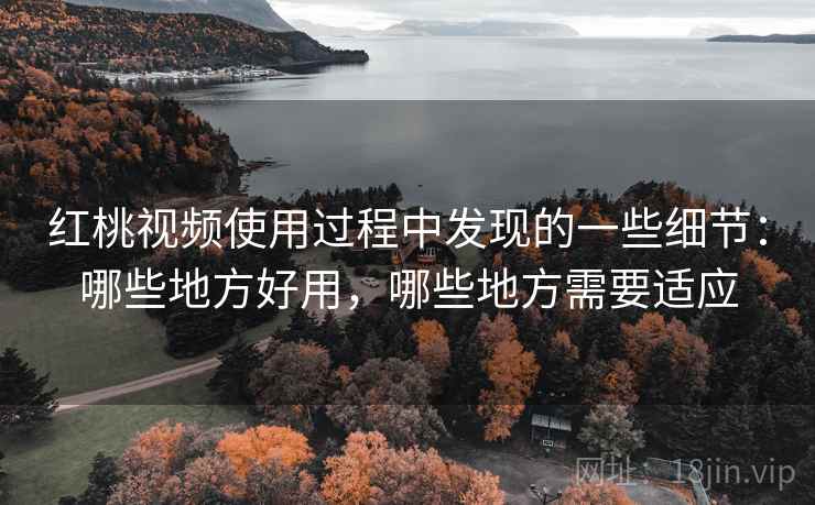 红桃视频使用过程中发现的一些细节：哪些地方好用，哪些地方需要适应