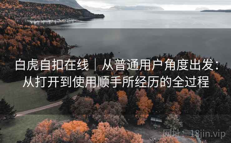 白虎自扣在线｜从普通用户角度出发：从打开到使用顺手所经历的全过程
