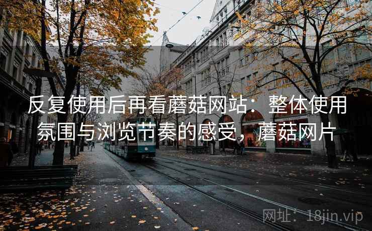反复使用后再看蘑菇网站：整体使用氛围与浏览节奏的感受，蘑菇网片