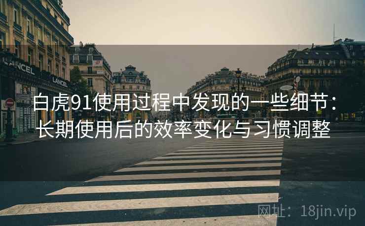 白虎91使用过程中发现的一些细节：长期使用后的效率变化与习惯调整